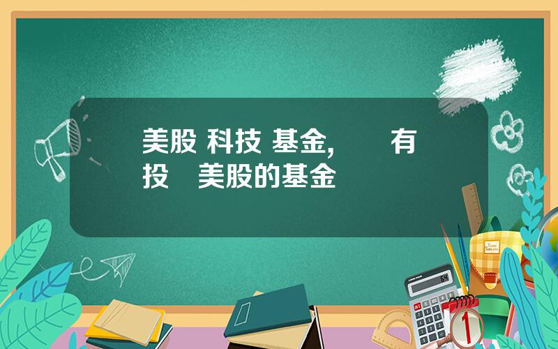 美股 科技 基金,國內有投資美股的基金嗎